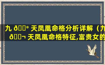 九 💮 天凤凰命格分析详解（九 🐬 天凤凰命格特征,富贵女的面相）